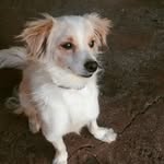 Barney Garcia :) - @barneydarafa - Instagram