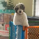 Barney Gibson - Facebook