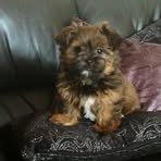 Barney Griffin - Facebook