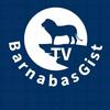 Barnabas Gist - @user9771284342052 - TikTok