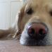 Barney Grist - Facebook