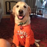 Barney Henderson - @barnabyhenderson - Instagram