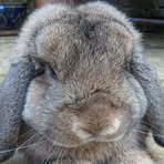 Barnaby Pound-Howard - Facebook