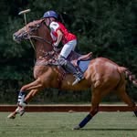 Barnaby Hughes - @bhpolo - Instagram
