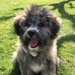 Barnaby James - @barnaby_james - Instagram