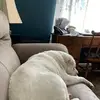Barney Jenkins - @barney.jenkins - TikTok