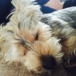 Barnaby Jones - @princebarnaby_ - Instagram