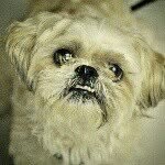 barnaby jones - @thebarnabyjones - Instagram