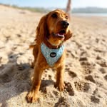 Barnaby Jones - @meandbarnabyjones - Instagram
