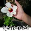 Barnaby Jones - @barnaby.jones19 - TikTok