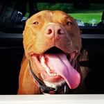 @barnaby_joyce_ - Instagram