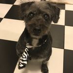 Barnaby - @king_barnaby - Instagram