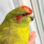 King Barnaby - @king.barnaby - Instagram