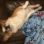 Barnaby Knight - @thelifeofbarnabyknight - Instagram
