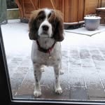 Barney Lewis 🐾 - @barneybibblyboo - Instagram