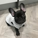 Barney & Lily & Marshall - @b4rneyhs - Instagram