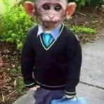 Barnaby Macaco Martinez - Facebook