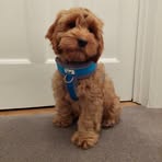 Barney Matthews - Facebook