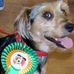 Barney Palmer - Facebook