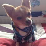 Barnaby Porter - Facebook