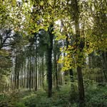 Barnaby Richmond - @barnabyrichmond - Instagram