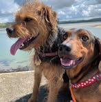 Barney Robertson Robertson - Facebook