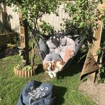 Barnaby Ross - Facebook
