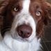 Barney Shepherd - Facebook