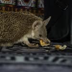 Barnaby Greet-Smith - @bgs23897 - Instagram