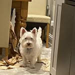 Barnaby Smith - @barnaby_99cool - Instagram