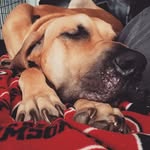 Barnaby Taylor - @barnabysbigadventure - Instagram