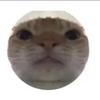 barnabyy.taylorr - @barnabyy.taylorr - TikTok