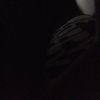 barnaby  - @barnaby.walker - TikTok