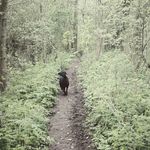 barnabywallacexpoems - @barnabywallacexpoems - Instagram