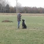 Barnaby Webb - @webbbarnaby - Instagram