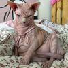 barnabywellsteed - @barnabywellsteed - TikTok