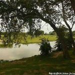 Barnali Chowdhury - @barnali.chowdhury - Instagram