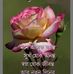 Barnali Das - Facebook