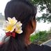 Barnali Dey - Facebook