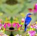 Barnali Paul - Facebook