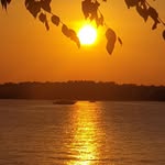 Barnali Sengupta - @barnali.sengupta23 - Instagram