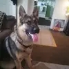 Barnard Smith - @barnard.smith - TikTok
