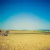 Barnes Conley - @barnesconley432 - TikTok