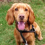 Barney Gold - @gold.barney - Instagram