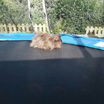 xander Barnett-Brown - @xander_bb2010 - Instagram