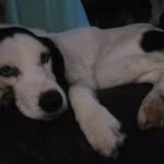 David Barnett-Jones - @harryp156 - Instagram