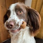 Barney Adams - @barney.goes.bananas - Instagram