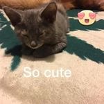 Barney Elizabeth Agee - @barneyagee - Instagram