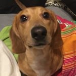 Barney Allen - @ougstut32 - Instagram