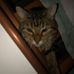 Barney Allen - Facebook